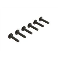 FLANGED BUTTON HEAD SCREW, M4X20MM (6)