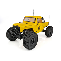 Enduro Ecto Trail Truck RTR