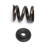 Associated Slipper Spring & Washer, V2