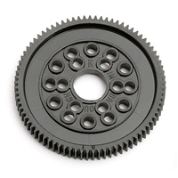 ####Spur/Diff Gear 81T 48P