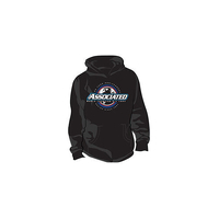Team AE WC24 L Pullover Hoodie