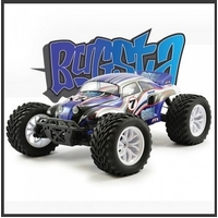 Painted Bodyshell Bugsta Blue