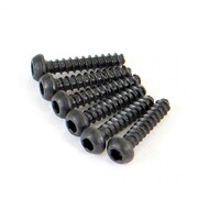 Round Head Self Tapping Hex Screw (6)