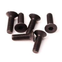 Flat Head Screws M3x10mm (6pcs)