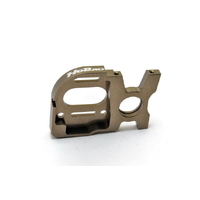 Cnc Alum Motor Plate 10SC EP