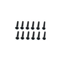 HAIBOXING S095 ROUND HEAD SCREW  3*16MM