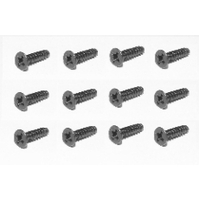 HAIBOXING S121 COUNTERSUNK SCREW 2.5*17MM