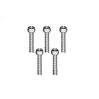HSP Ball Head Self-tapping Screw 3*18