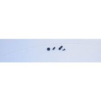 Losi Antenna Kit