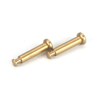 Team Losi Titanium Nitride 4x21mm Hinge Pins (2): 8B/8T