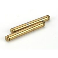 Team Losi Outer Hinge Pins, TiNi (2): LST, LST2, AFT, MGB