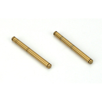 Team Losi Outer Hinge Pins, TiNi (2): LST2, AFT