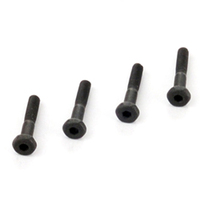 Brake Pad Fixing Screw