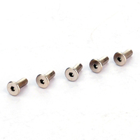 SK H.M Screw M5x13 (20)