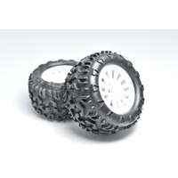 Truck Tyre Set