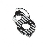 TLR Motor Plate, 3-Gear, Laydown, 22 4.0