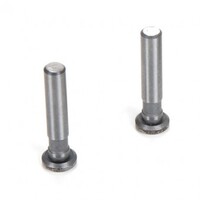 TLR Hinge Pins, 4 x 21mm, TiCn (2) 8ight 4.0
