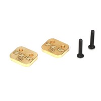 TLR Brass Weight System, Rear Motor