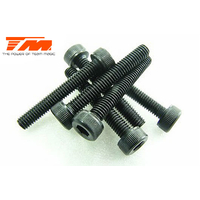 3x20mm Cap Screw (6)