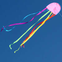 WINDSPEED KITES JELLYFISH