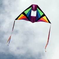 WINDSPEED Cell Delta Single Line Kite
