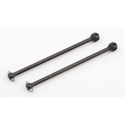###Front CVA Bone B44