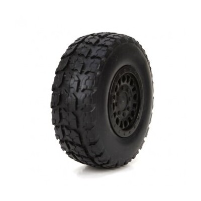 ECX Tyre Mounted on Black Wheels (2)