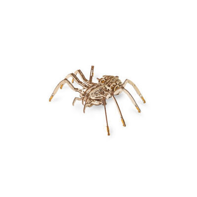 Mechanical Spider on rubber-band engine with moving legs