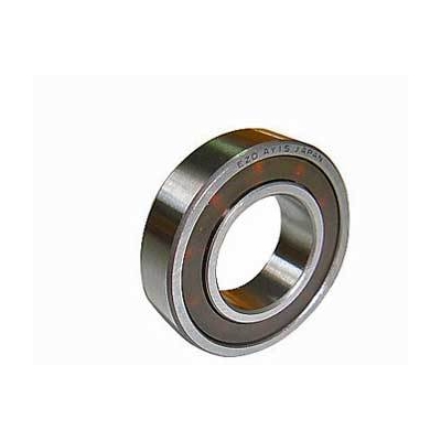 Rear Ball Bearing