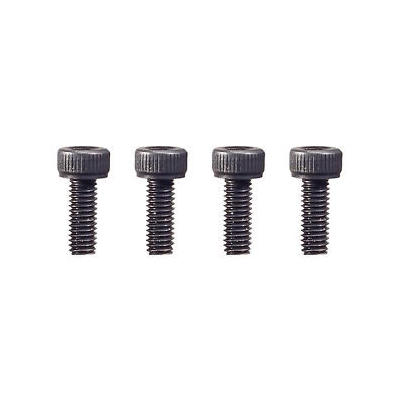 Black Plate Screws