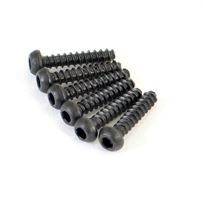 Round Head Self Tapping Hex Screw (6)
