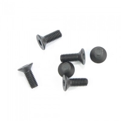 Flat Head Hex Screw M3x8 (6)