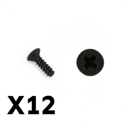 Flat Head Hex Self Tap Screw M3x10 (12)