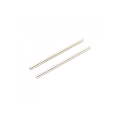 Battery Door Hinge Pins 2.5x56mm Surge