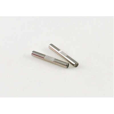Pin 3*22 (2pcs)