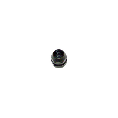 Flywheel Nut