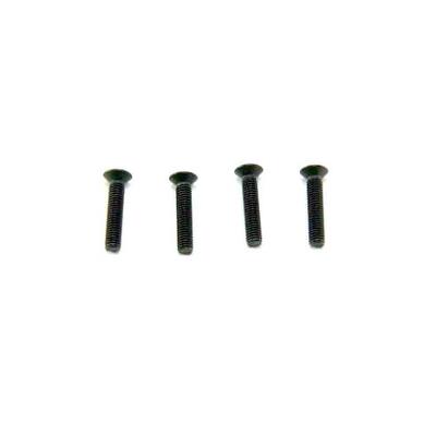 HSP Countersunk Mechanical Screw(5*25)