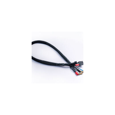 2S Charge/Balance Cable Lead 12AWG 500mm XH XT60 to 4/5mm Bullet Connector