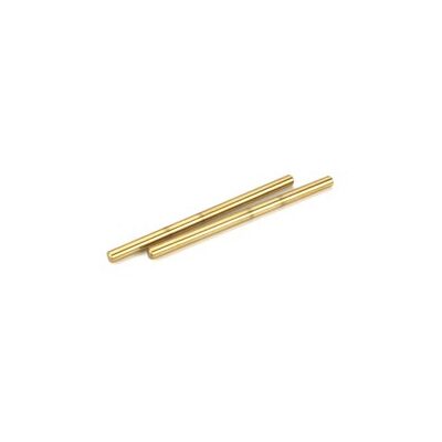 Team Losi Inner Hinge Pins, TiNi (2):LST,LST2,AFT,MUG,MGB
