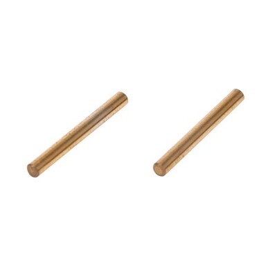 Losi Lower Suspension Pivot Pins, TiNi (2)