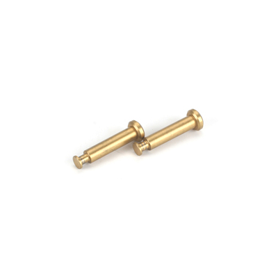 Team Losi Titanium Nitride 4x21mm Hinge Pins (2): 8B/8T