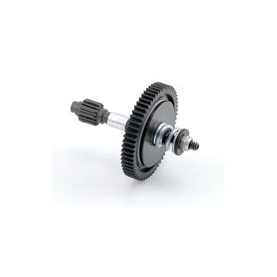Team Losi Dual Disk Slipper: Mini-T