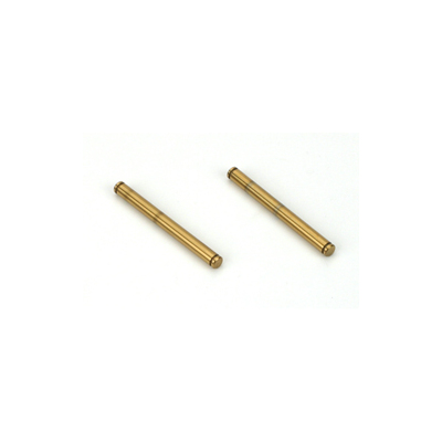 Team Losi Outer Hinge Pins, TiNi (2): LST2, AFT