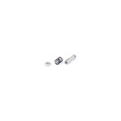 LRP Servo Saver Spring, Bolt and Retainer - Rebel