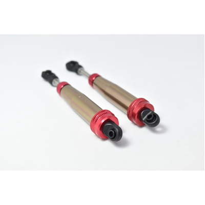 Dual channel nitrogen reverse damper