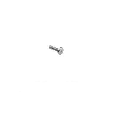 Special Screw M3x12 EB-4