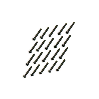 Screws M3 x 22 (20)