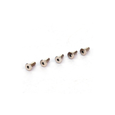 SK H.M Screw M5x13 (20)
