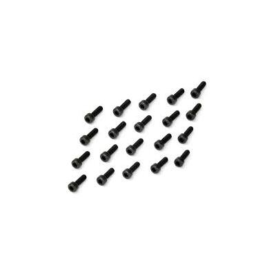 Socket Screw M4 x 12 (20)