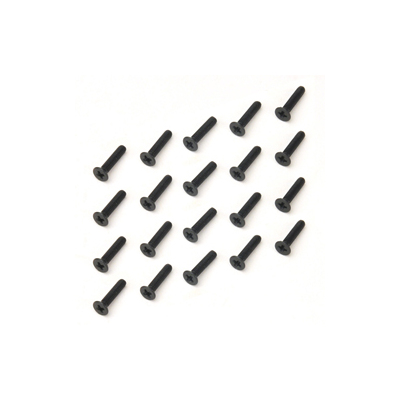 CT P.M. Screw M25x12 (20)